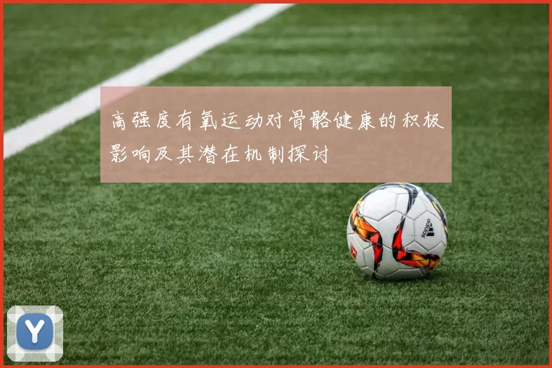 高强度有氧运动对骨骼健康的积极影响及其潜在机制探讨
