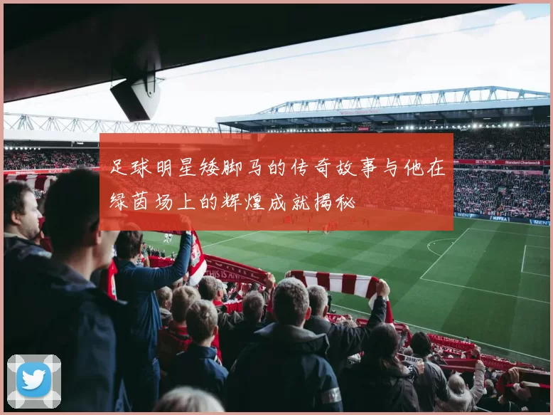 足球明星矮脚马的传奇故事与他在绿茵场上的辉煌成就揭秘