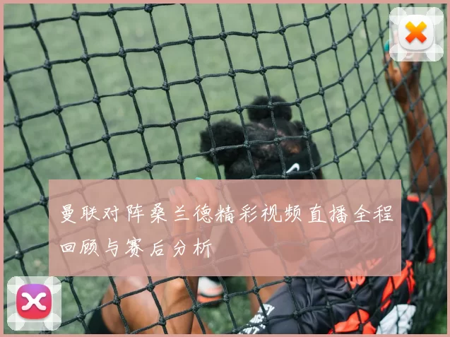 曼联对阵桑兰德精彩视频直播全程回顾与赛后分析